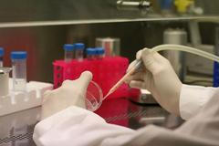 BioTalentum, Maďarsko