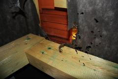 Požár izolace domu