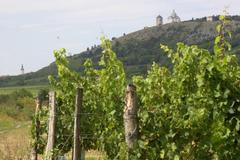 Hotaři, strážci vinic