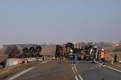 Převrácený kamion u Nového Města