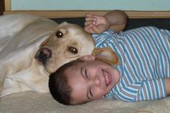 Chov a výcvik asistenčních psů