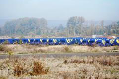 Ford Tranzit Česká pošta