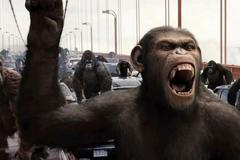 Zrození planety opic