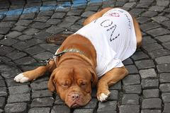 Obama v Praze - demonstrace proti radaru