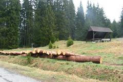 NP Šumava - otrávené lapáky