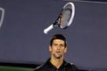 Cincinnati: Novak Djokovič