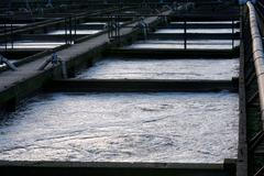 Čistírna odpadních vod v Praze