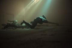 David Černý: Svoboda