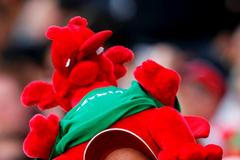 MS v ragby: fanoušci