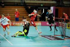 MS ve florbale žen: ČR - Norsko