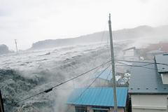 Tsunami v Japonsku s sebou brala lodě, letadla, domy i životy