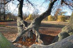 Stromovka - Cesta za poznáním