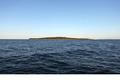 Rabbit Island