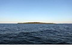 Rabbit Island