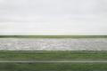 Andreas Gursky: Rhein 2