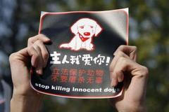 Jedno dítě, jeden pes a dost!