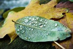 Dokumentujeme.cz: Jak si čtenáři užívali podzimní volno