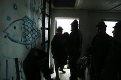 výlov rybníka na Třeboňsku