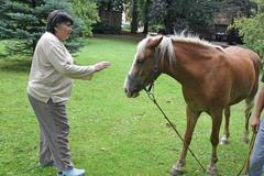 Putování s huculem