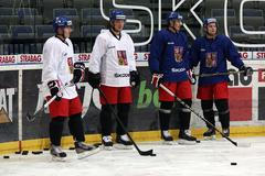 Sraz hokejové reprezentace