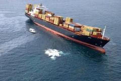 Topný olej z liberijské lodi dorazil k pobřeží Nového Zélandu