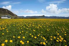 Výbuch sopky na Islandu