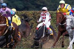 Velká Pardubická 2011