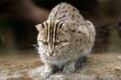 Šance pro děti 2011