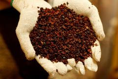 Než vám pod nosem zavoní čokoláda