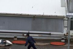 Porcování velryb - Island