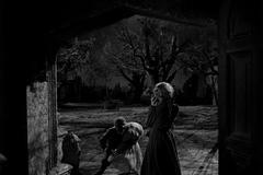 Festival Visions of Light!