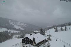 Květnové zátiší