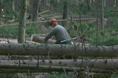 Blokáda na Šumavě - 27. 7. 2011