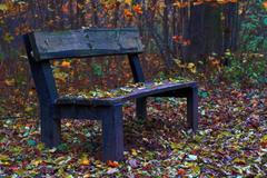 Dokumentujeme.cz: Jak si čtenáři užívali podzimní volno