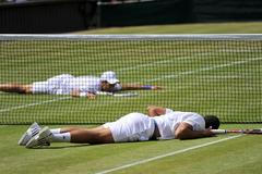Wimbledon 2011: Tsonga - Djokovič