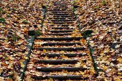 Dokumentujeme.cz: Jak si čtenáři užívali podzimní volno