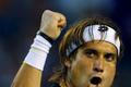 Australian Open 2011 - David Ferrer