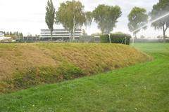 Spálená tráva na Irské lavici