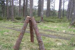 NP Šumava - otrávené lapáky