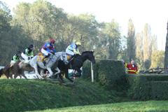 Velký anglický skok