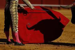 Nejlepší snímky měsíce května