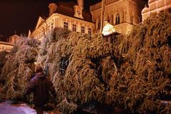 Ukotvení vánočního stromu