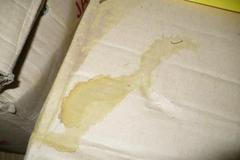 Myši ve skladu potravin