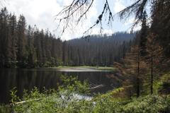 Šumava - jezero Laka