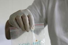 V Brně testují zeleninu na přítomnost Enterohemoragická Eshcherichia Coli (EHEC)