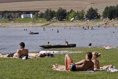 Medůzy ve štěrkovně