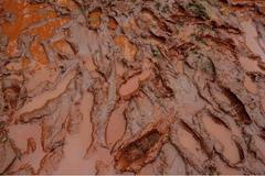 Toxická zkáza: před rokem a nyní (kombo)