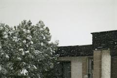 Sněhová přeháňka v Polici nad Metují, úterý 3. května