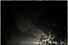 Dokumentujeme.cz: Jak si čtenáři užívali podzimní volno