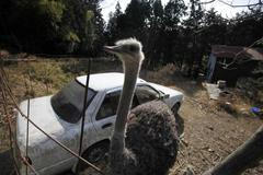 Fukušima: města duchů